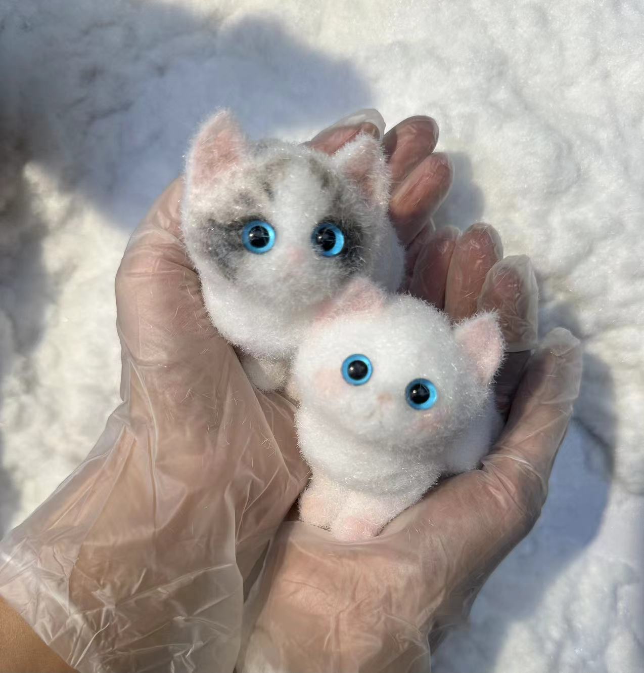 A16:Pretty Blue-eyed Ragdoll Kitten