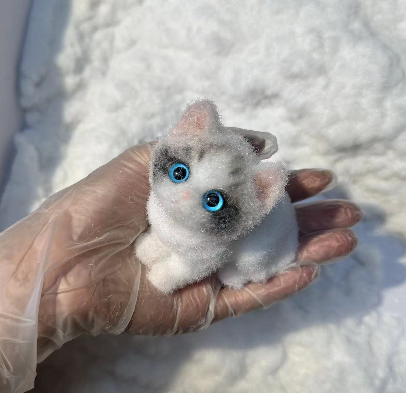 A16:Pretty Blue-eyed Ragdoll Kitten
