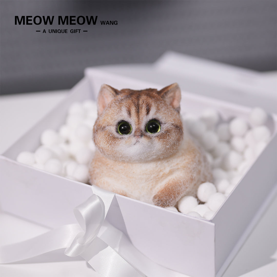 C05:Cute Cat With Green Eyes