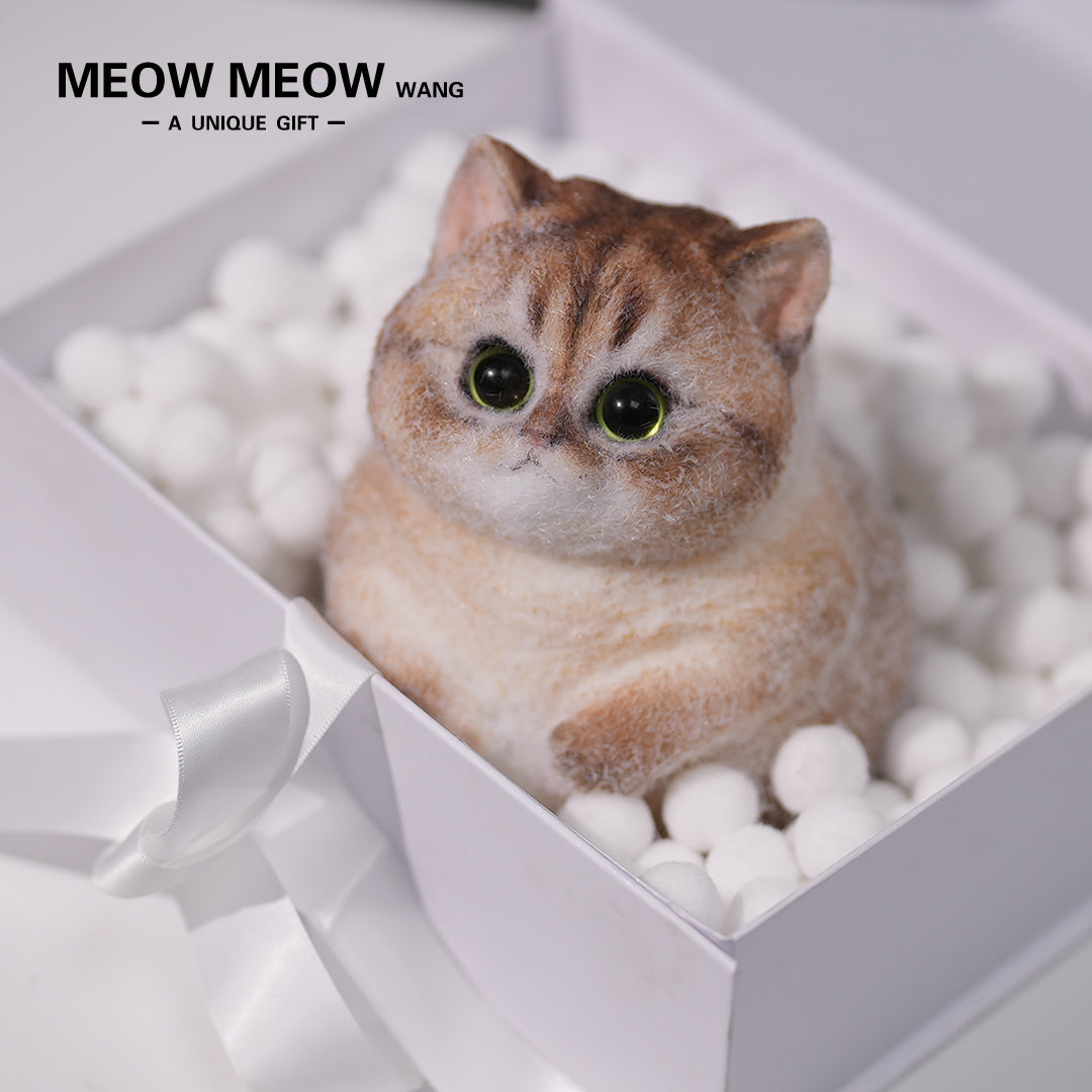 C05:Cute Cat With Green Eyes