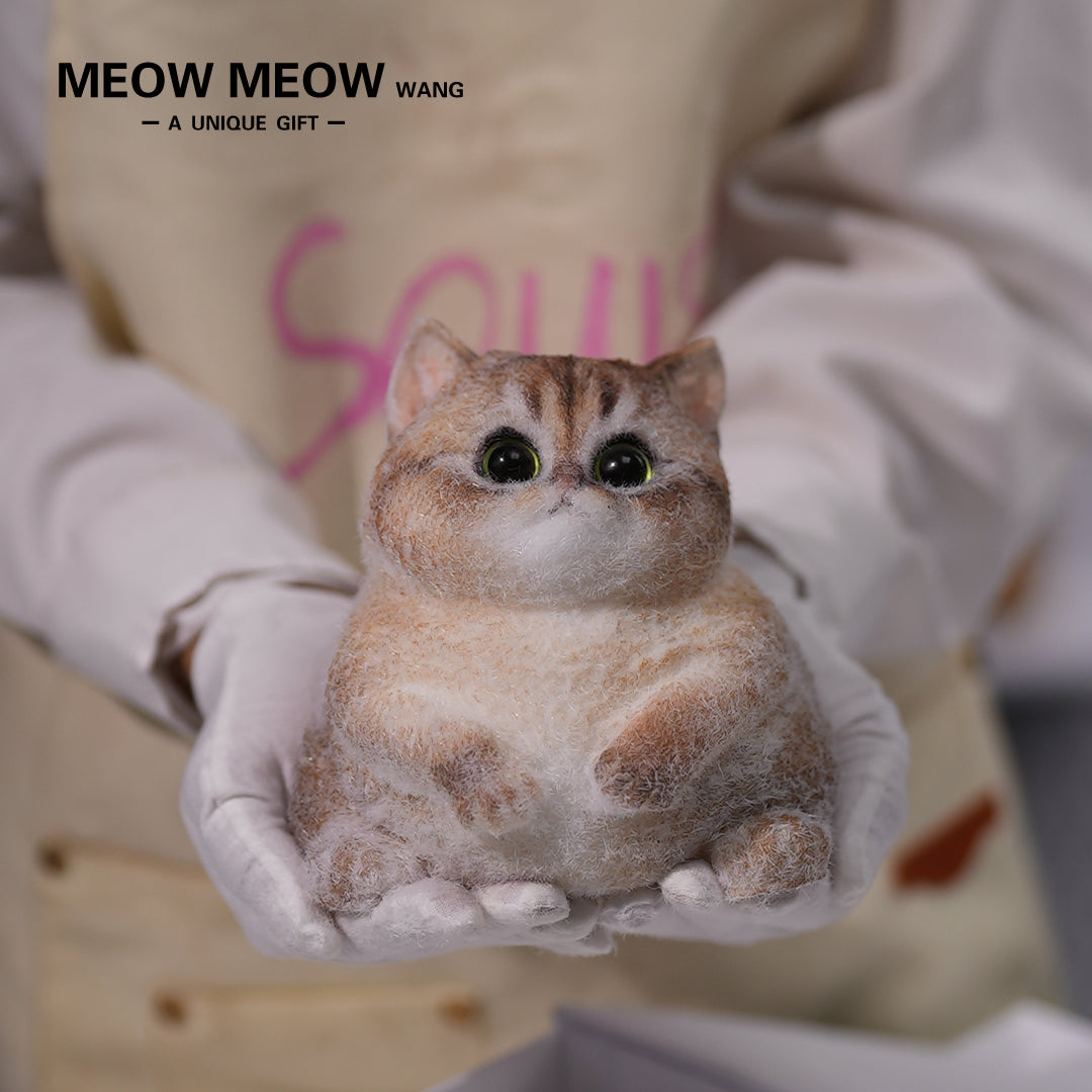 C05:Cute Cat With Green Eyes