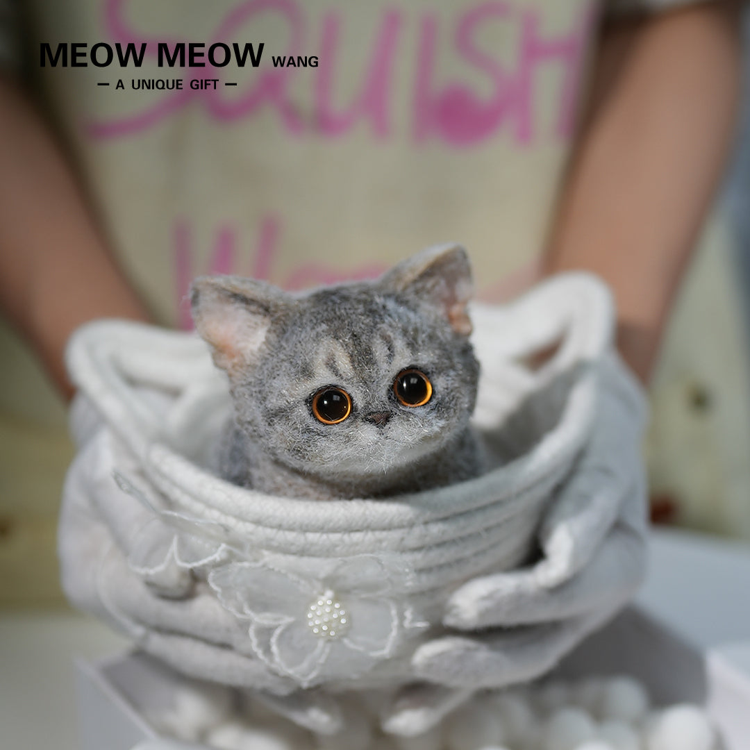 B08:Cute new Abby cat