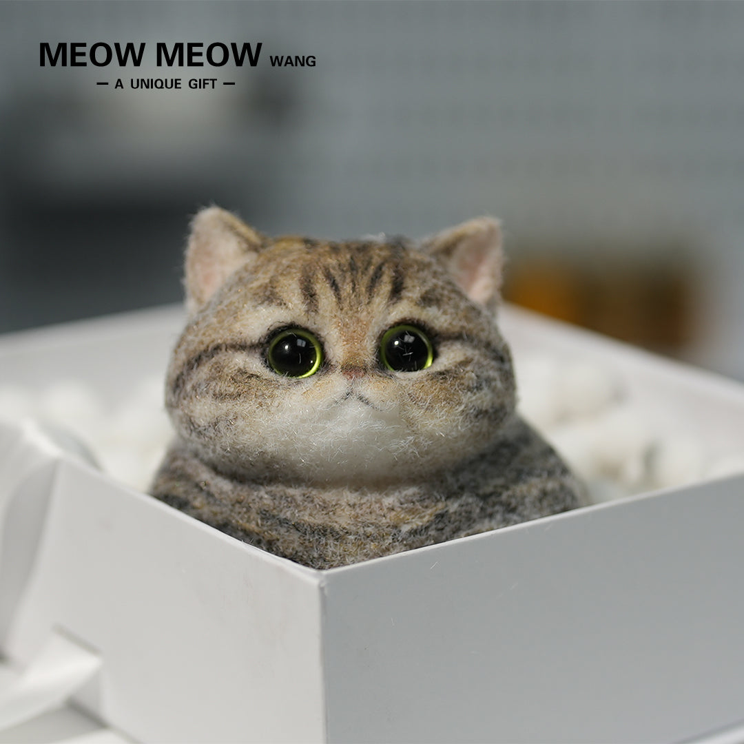 C06:Chubby Yellow-Green Raccoon Cat