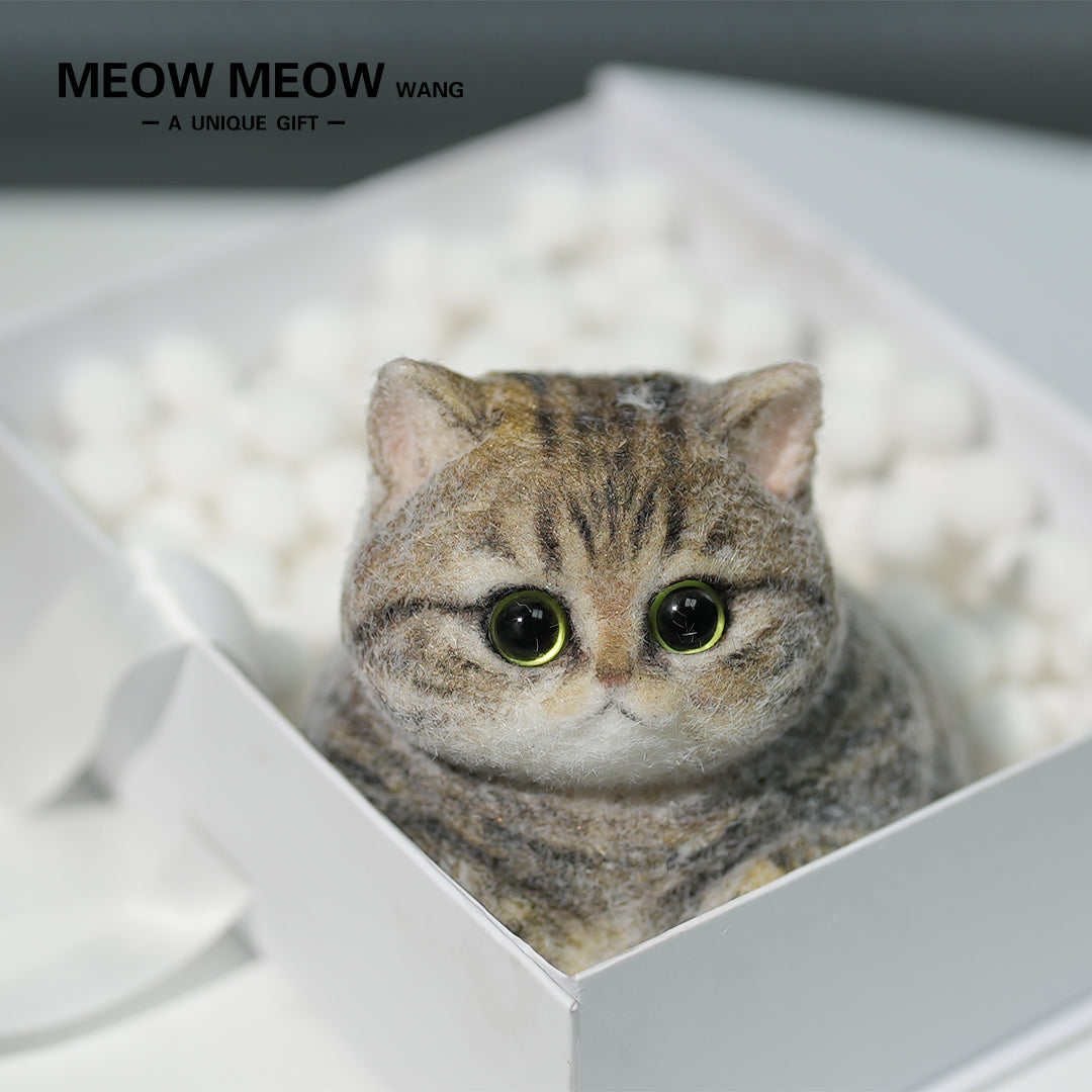 C06:Chubby Yellow-Green Raccoon Cat