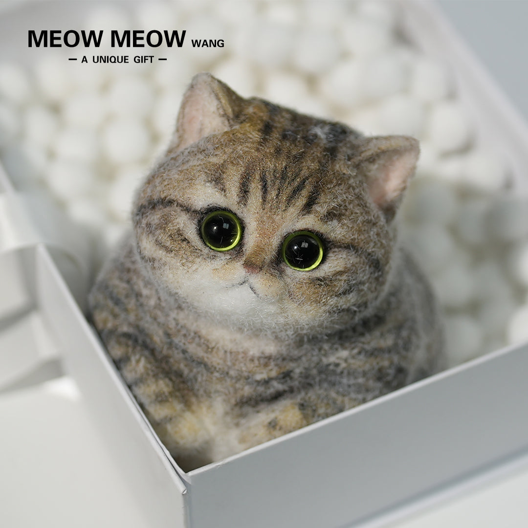 C06:Chubby Yellow-Green Raccoon Cat