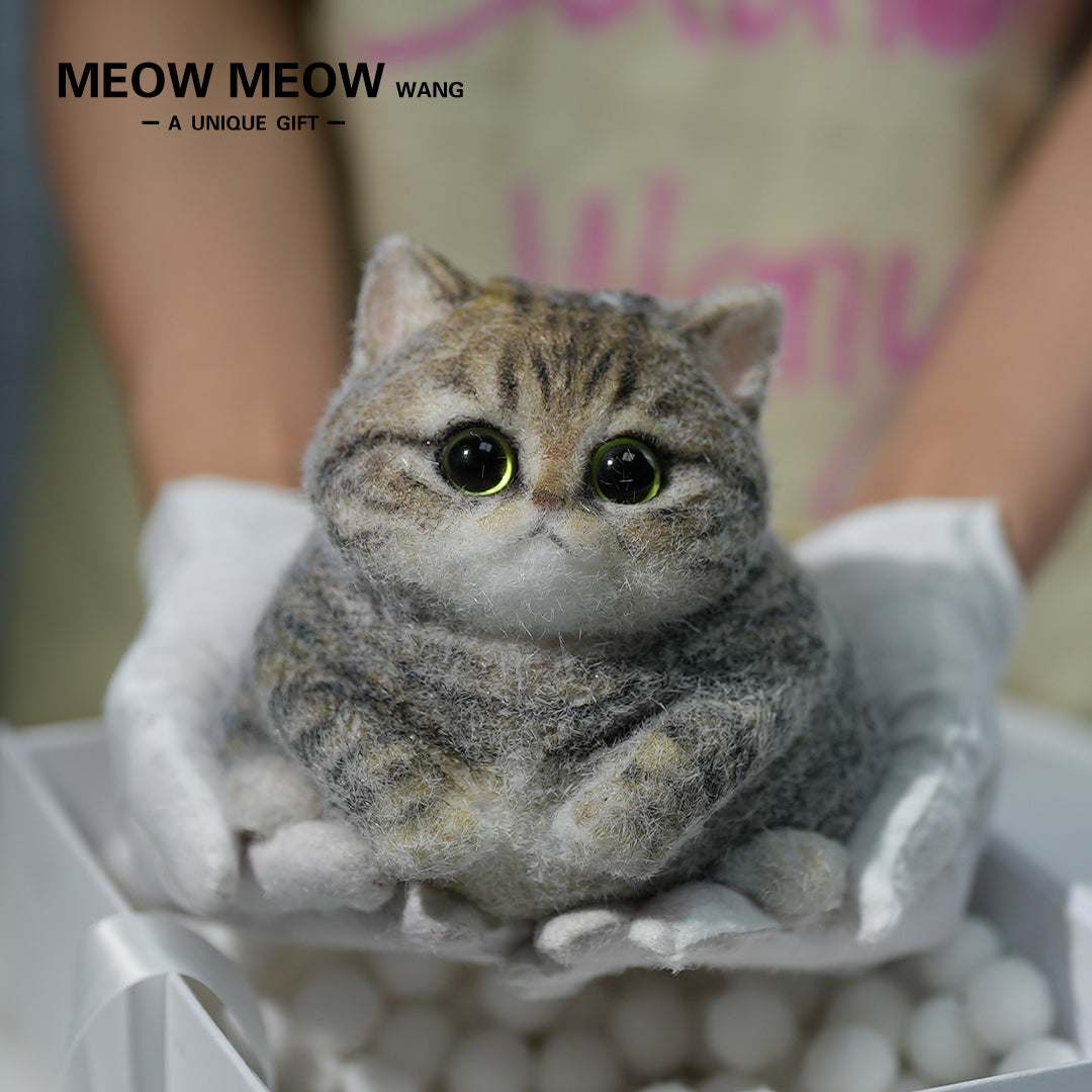C06:Chubby Yellow-Green Raccoon Cat