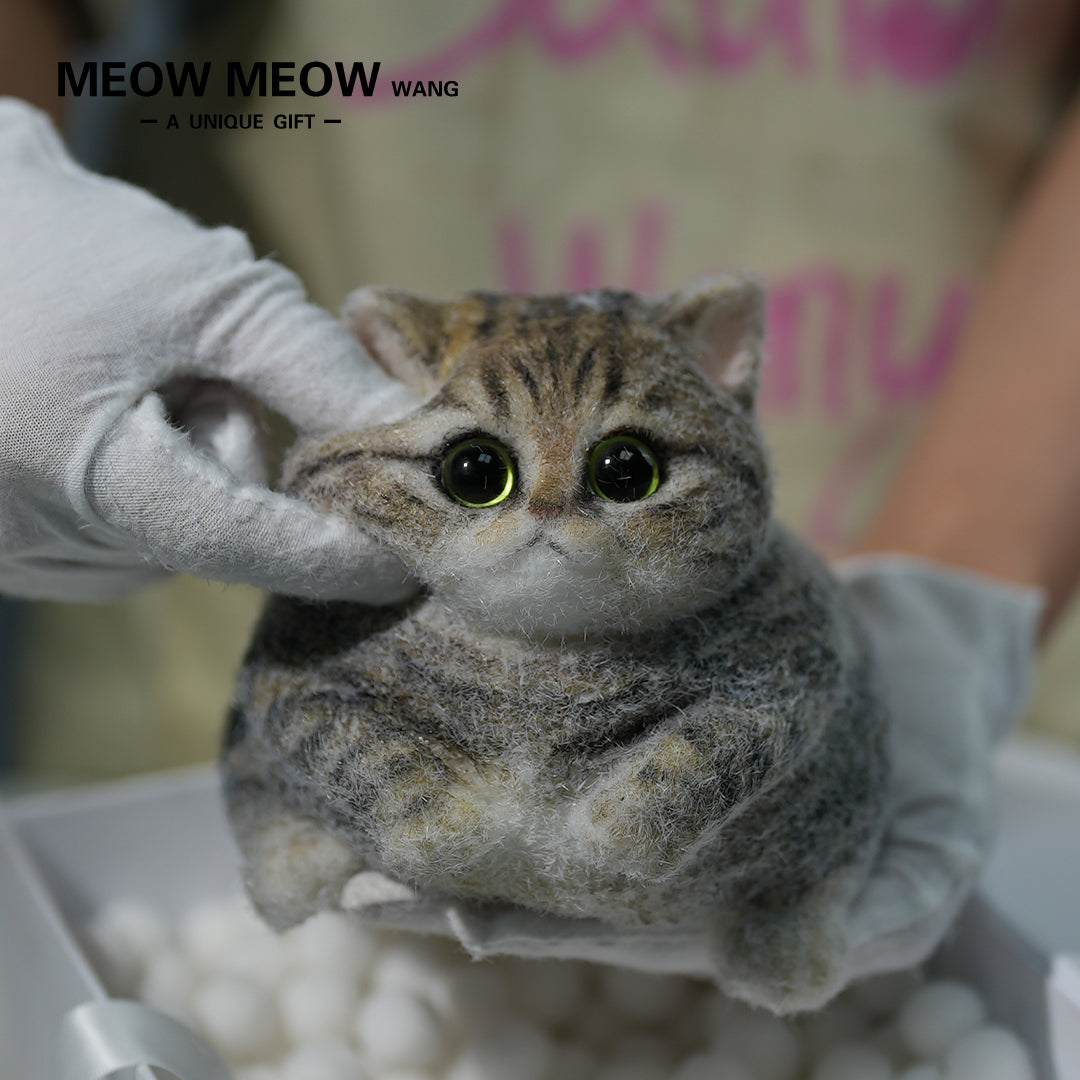 C06:Chubby Yellow-Green Raccoon Cat