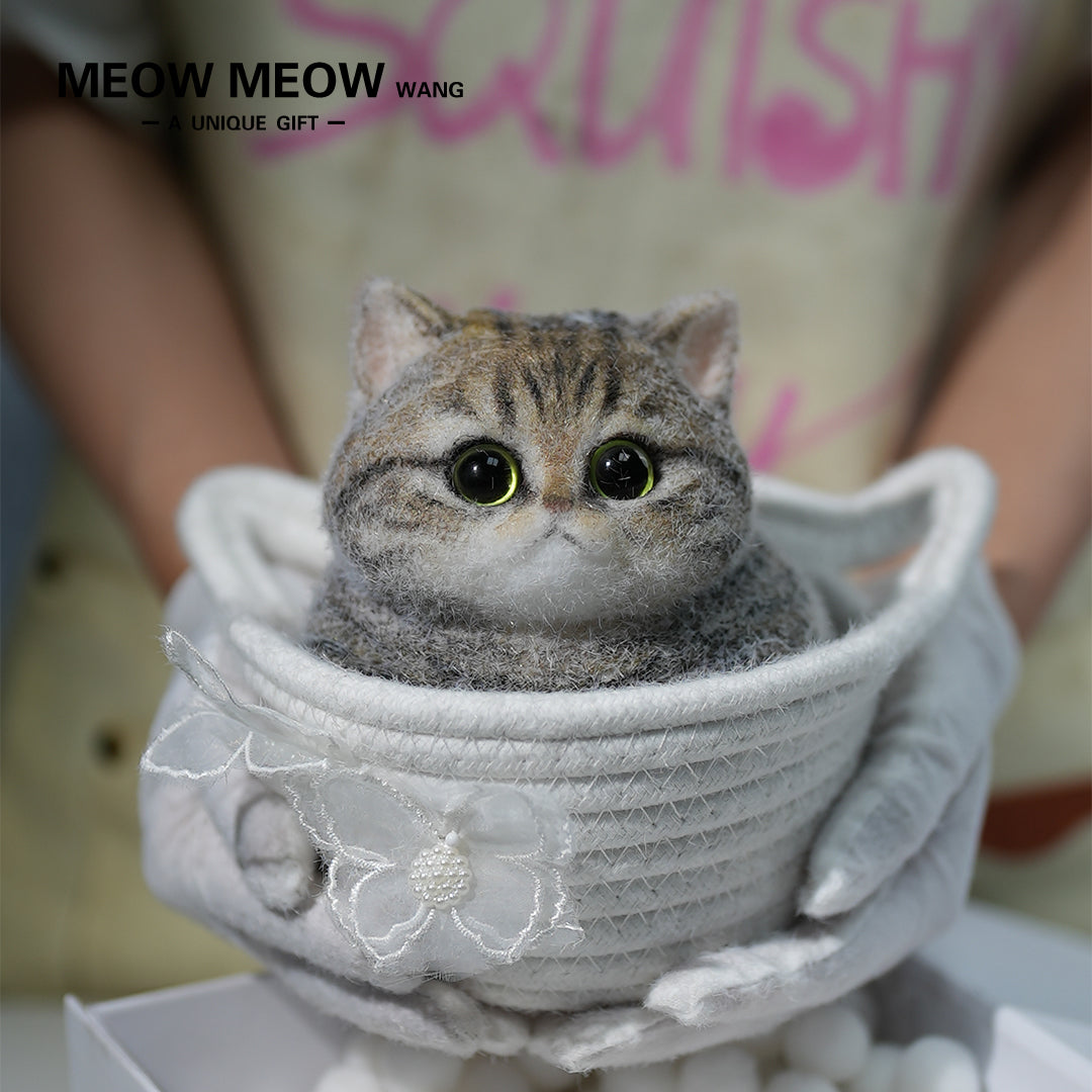 C06:Chubby Yellow-Green Raccoon Cat