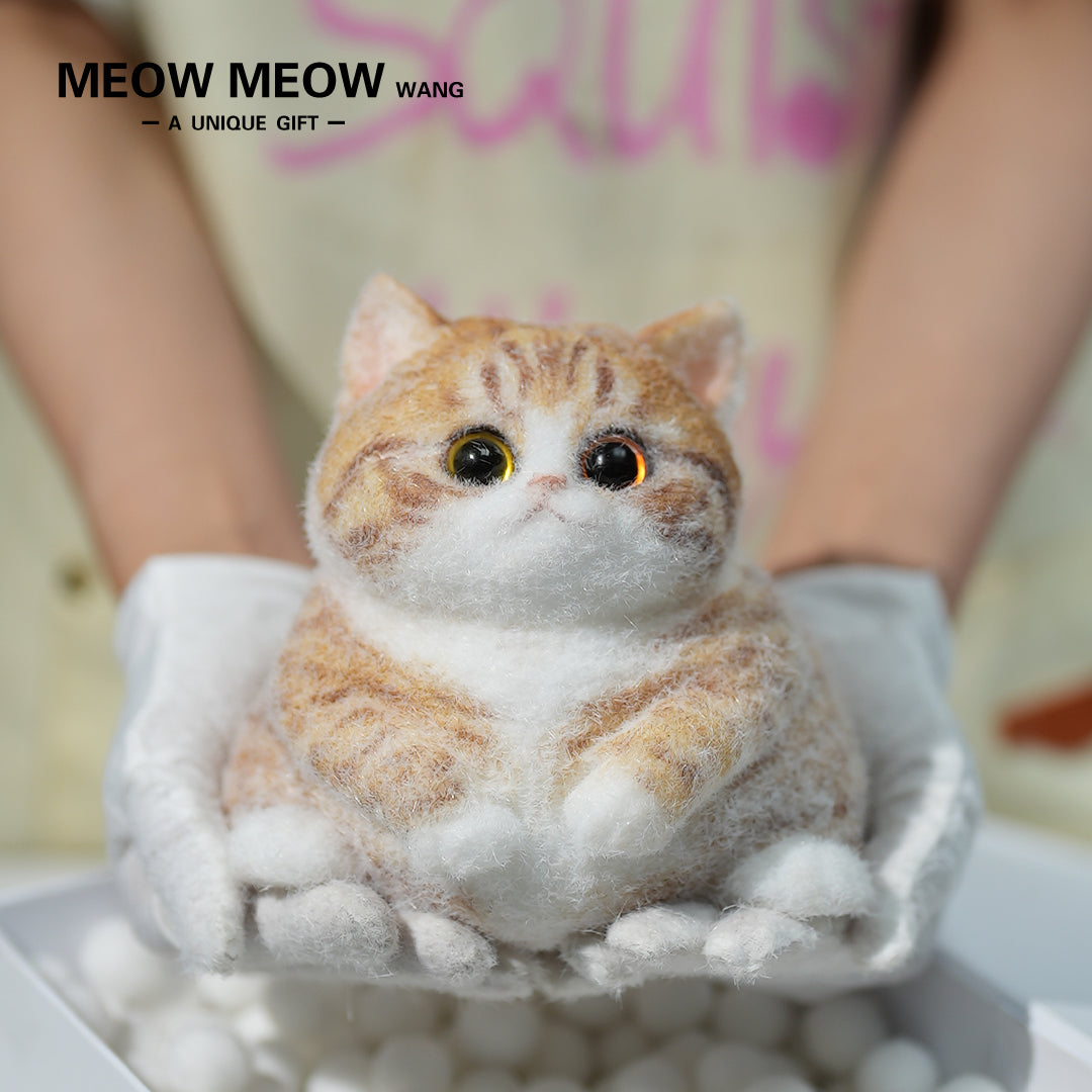 C08:Super Cute Fluffy Orange Cat