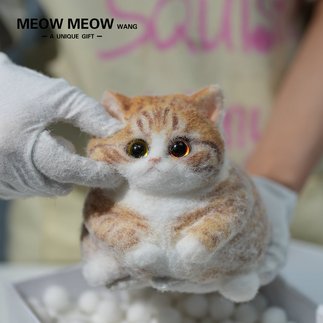 C08:Super Cute Fluffy Orange Cat