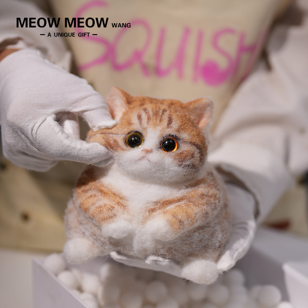 C08:Super Cute Fluffy Orange Cat