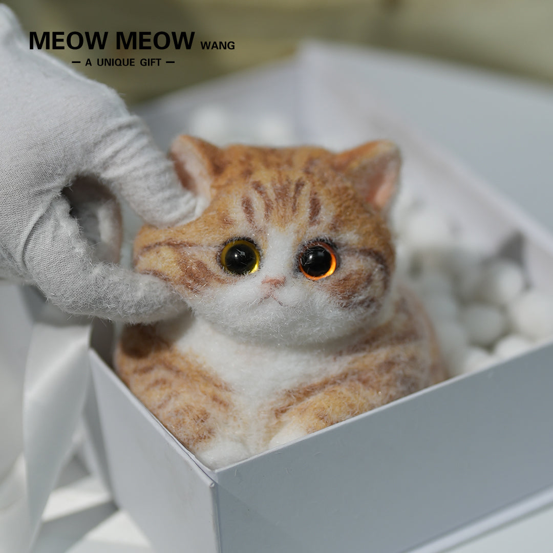 C08:Super Cute Fluffy Orange Cat