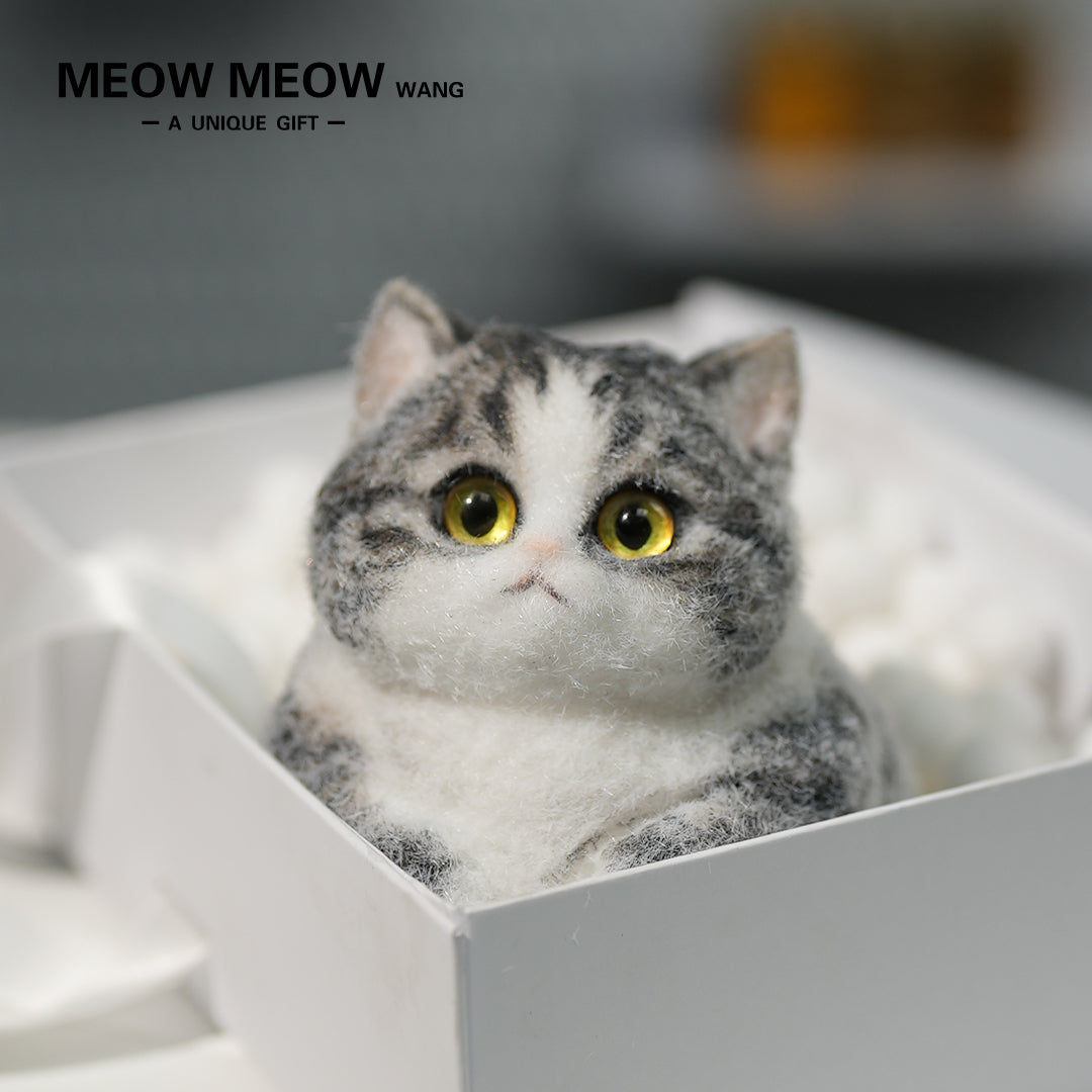 A07:Super Cute Gray Squishy Chubby kitty