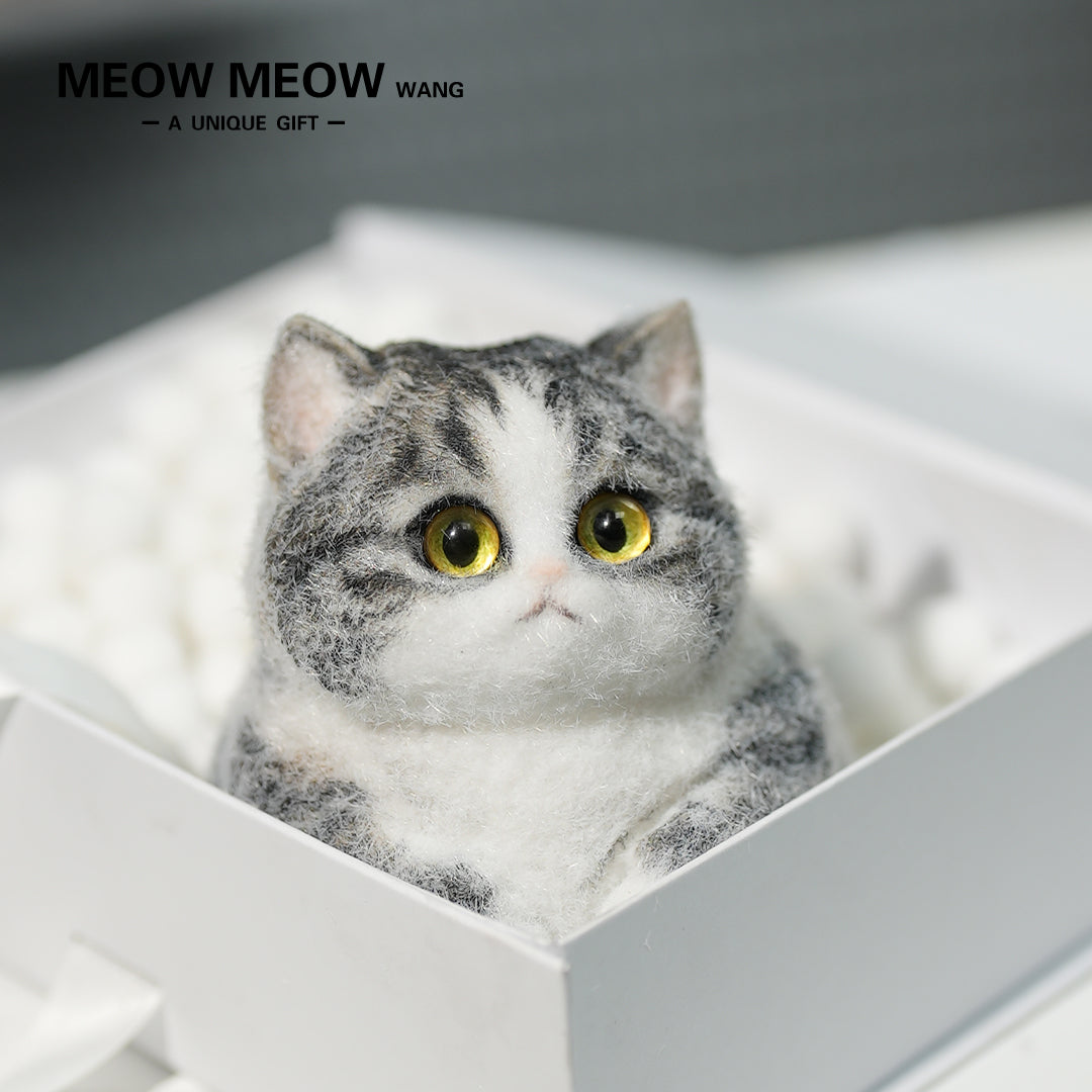 A07:Super Cute Gray Squishy Chubby kitty