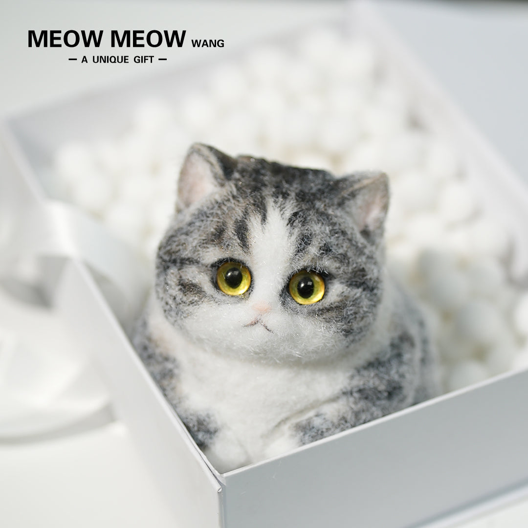 A07:Super Cute Gray Squishy Chubby kitty