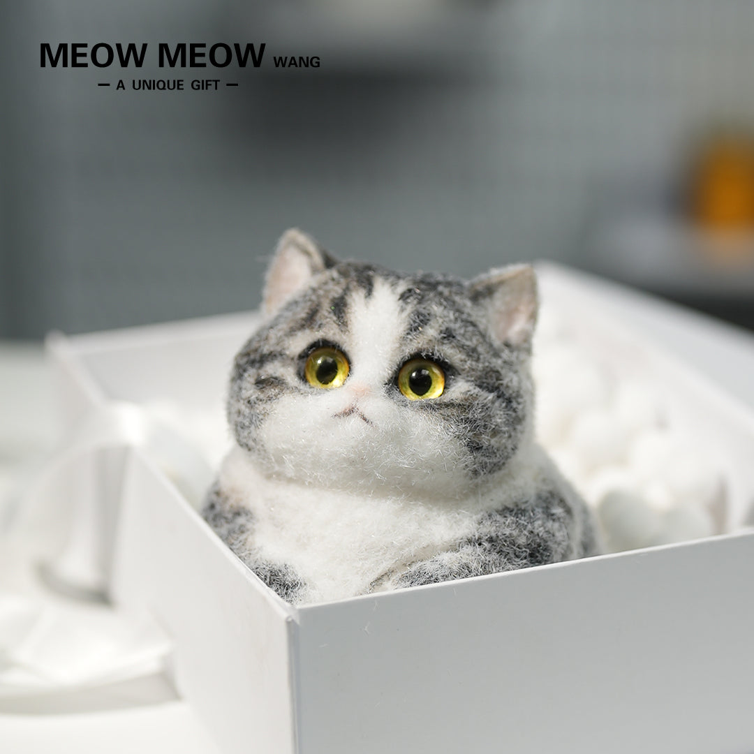 A07:Super Cute Gray Squishy Chubby kitty