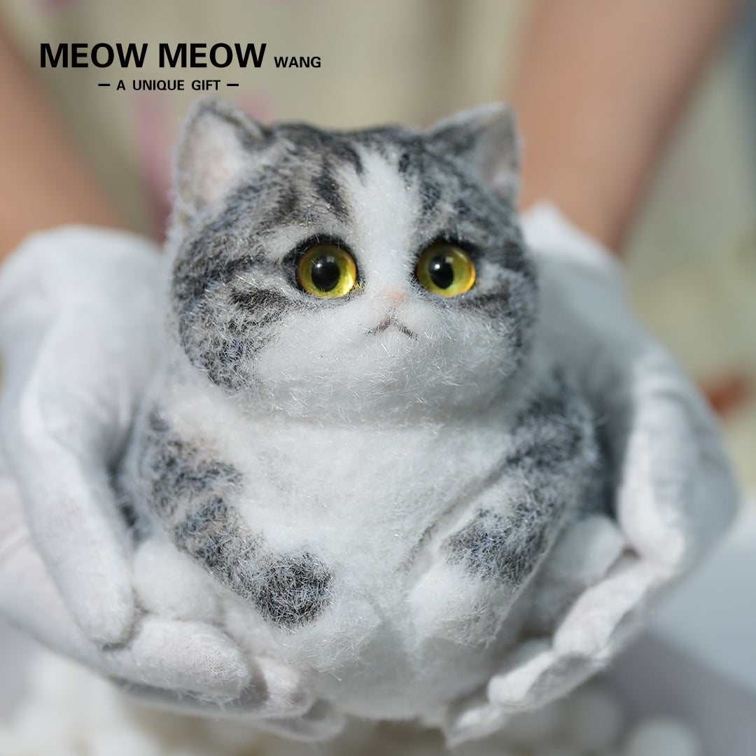 A07:Super Cute Gray Squishy Chubby kitty
