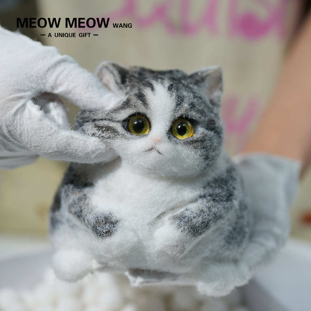 A07:Super Cute Gray Squishy Chubby kitty