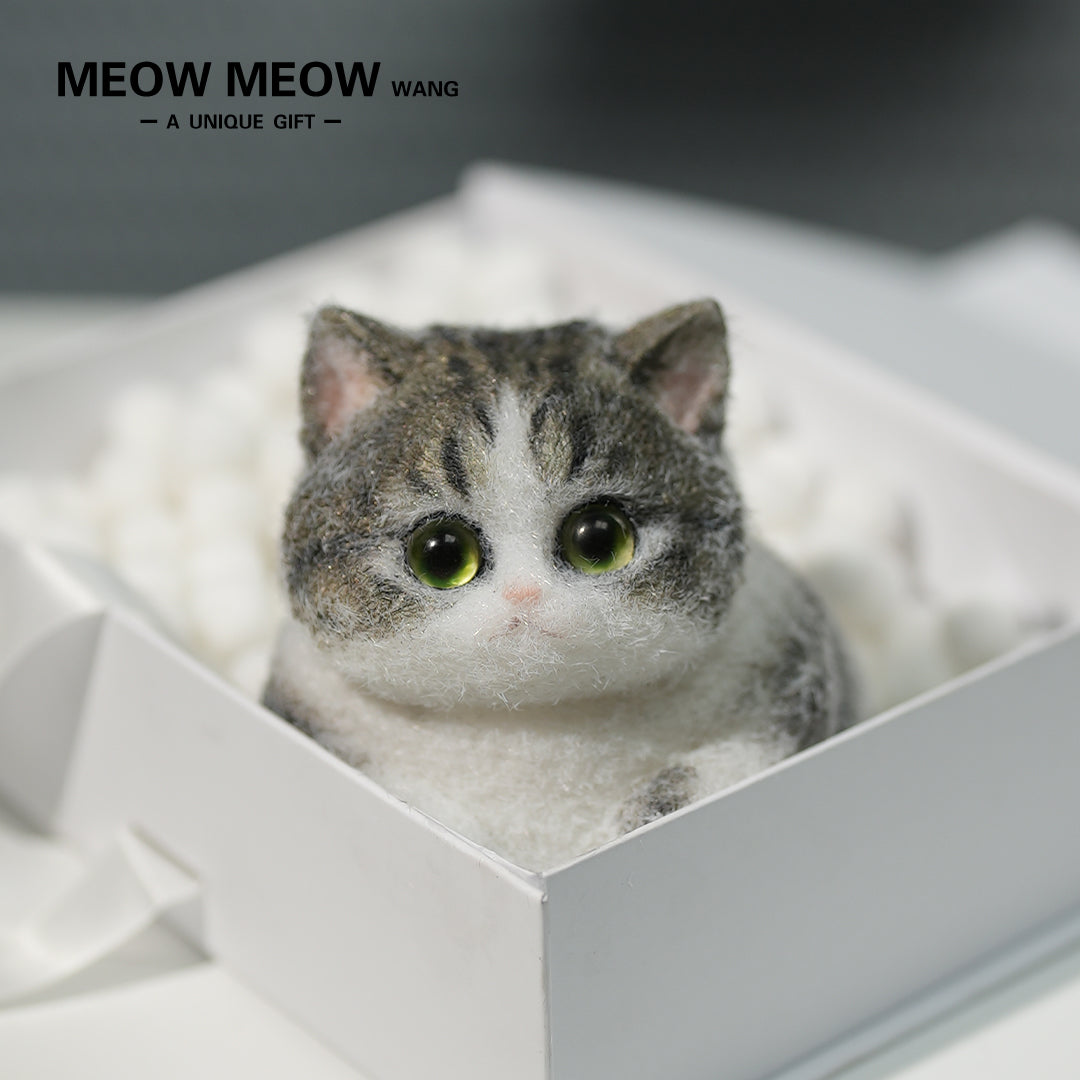 C07:White Chubby Green Vertical Pupil Civet Cat