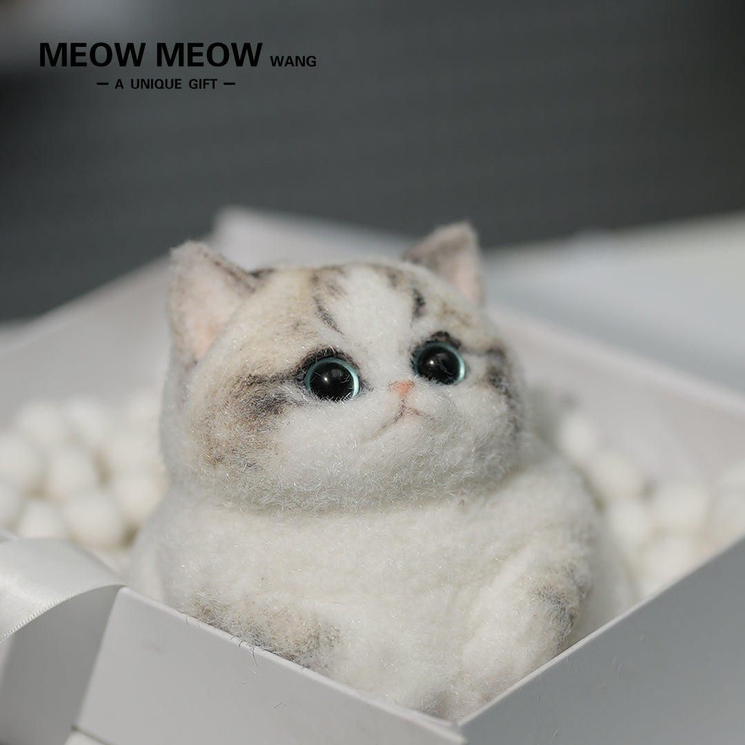 C14:Chubby, fluffy, black and white with pink nose Squishy Ragdoll cat