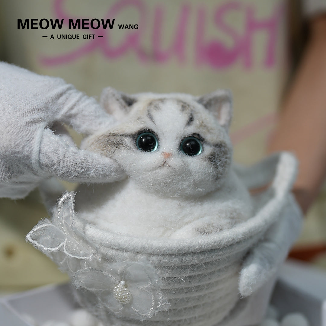 C14:Chubby, fluffy, black and white with pink nose Squishy Ragdoll cat