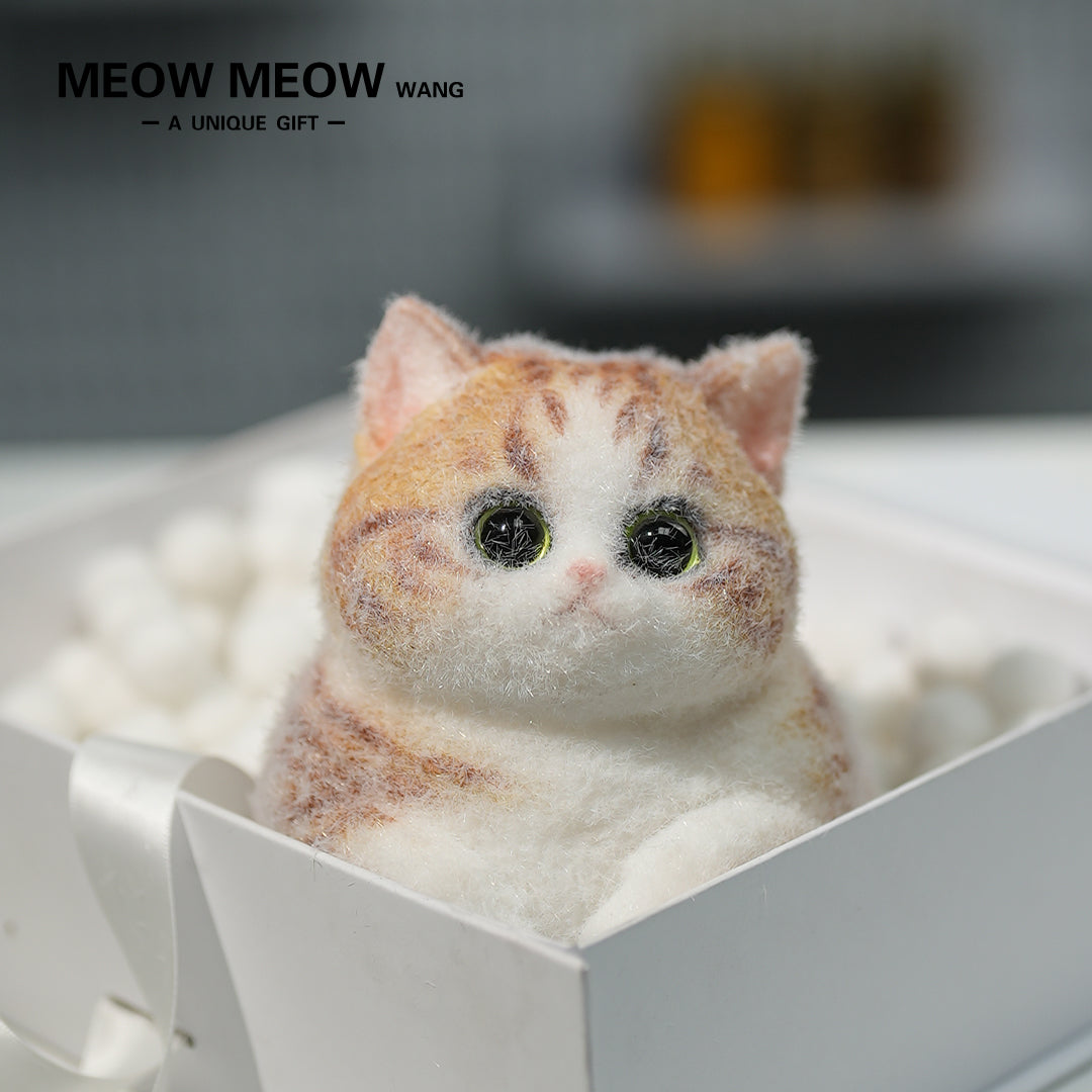 C09:Rare Fat Orange Cat With Green Eyes