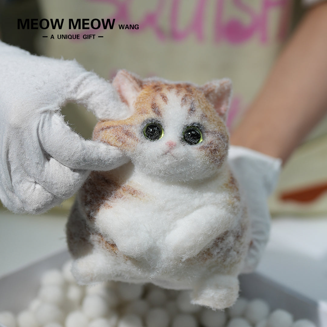 C09:Rare Fat Orange Cat With Green Eyes