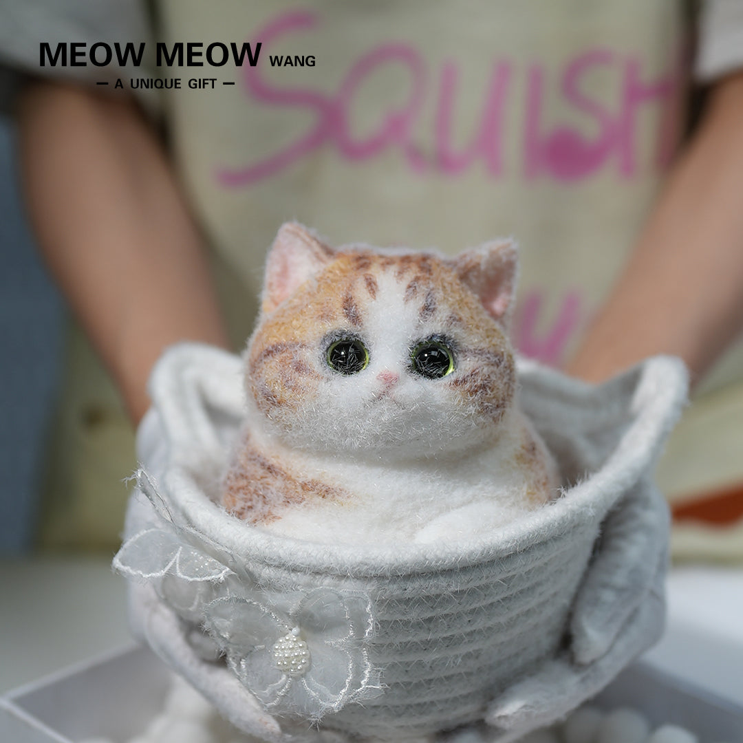 C09:Rare Fat Orange Cat With Green Eyes