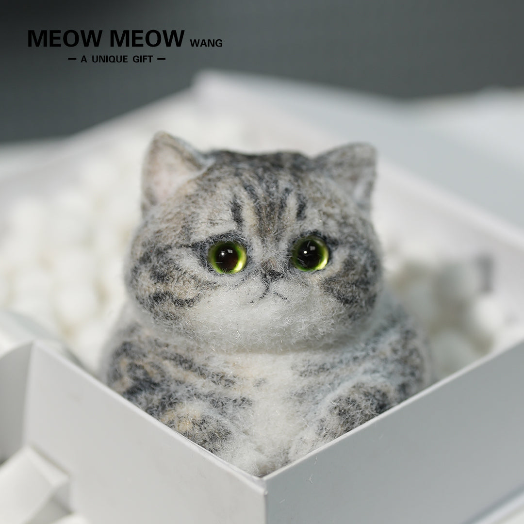 C10:Cute And Chubby Cat