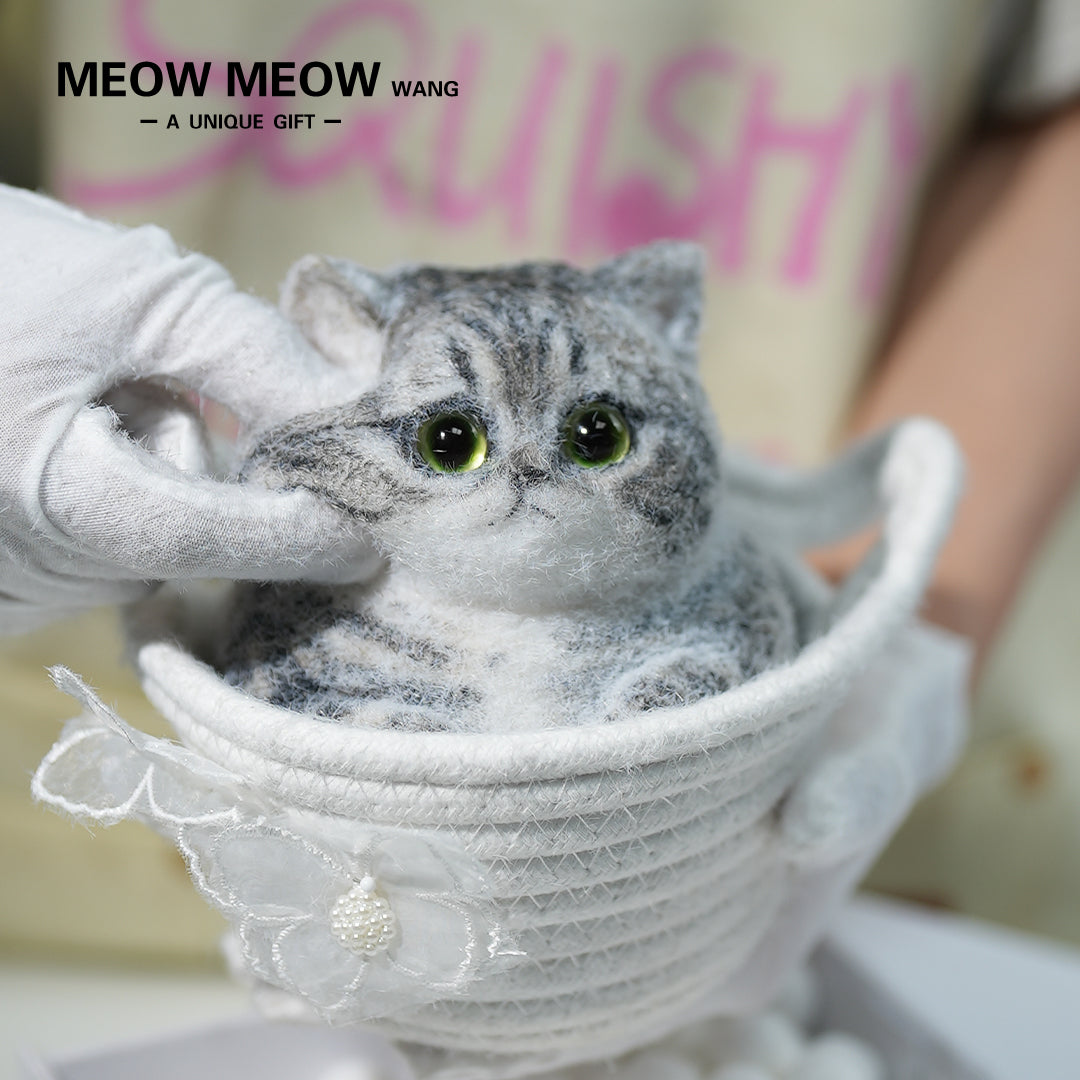 C10:Cute And Chubby Cat