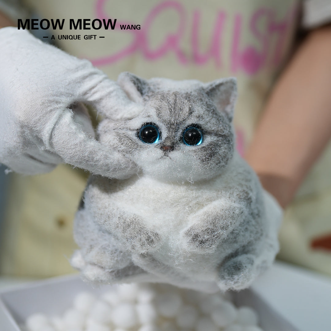 C11:What A Cute Chubby And Fluffy Finch Cat