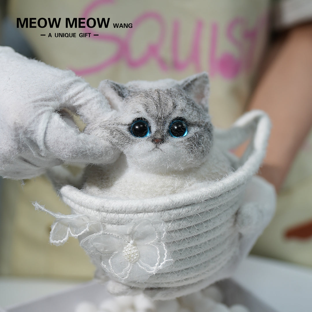 C11:What A Cute Chubby And Fluffy Finch Cat