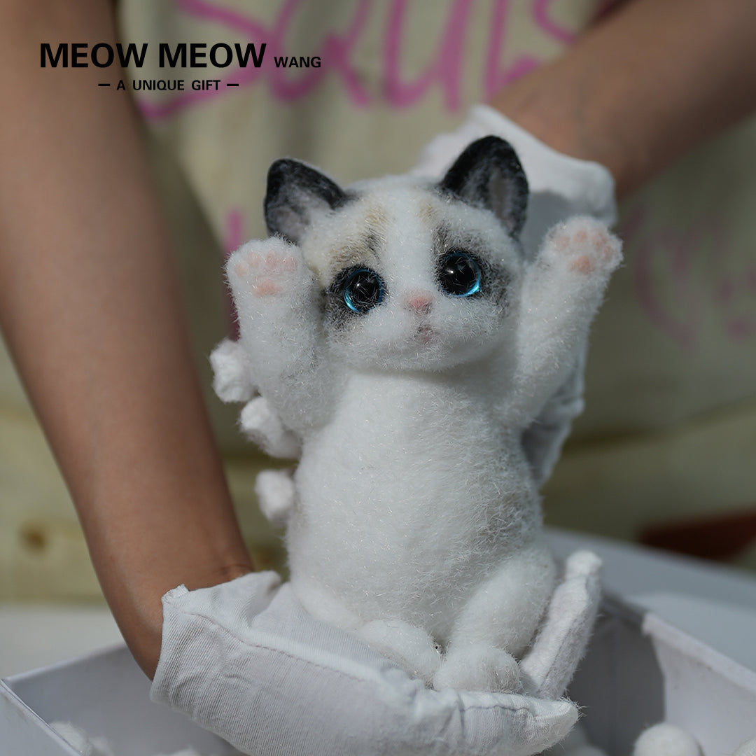 A06:Cute Ragdoll Squishy Cat