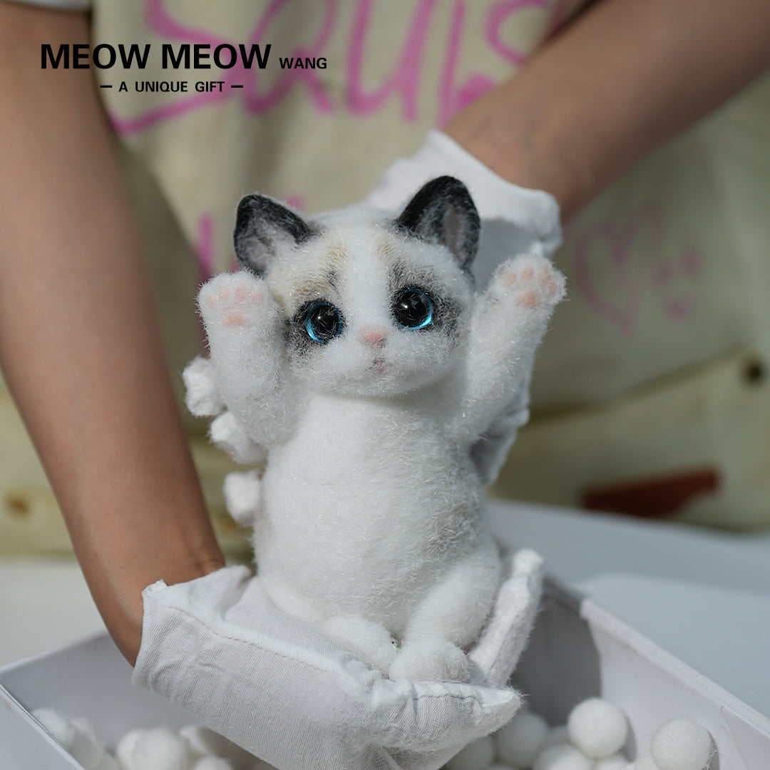 A06:Cute Ragdoll Squishy Cat
