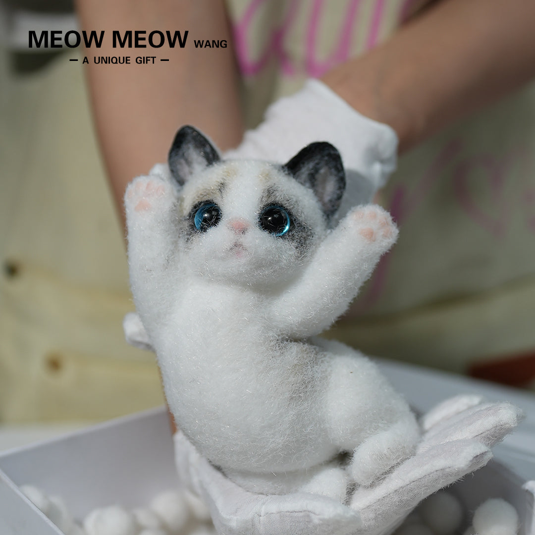 A06:Cute Ragdoll Squishy Cat