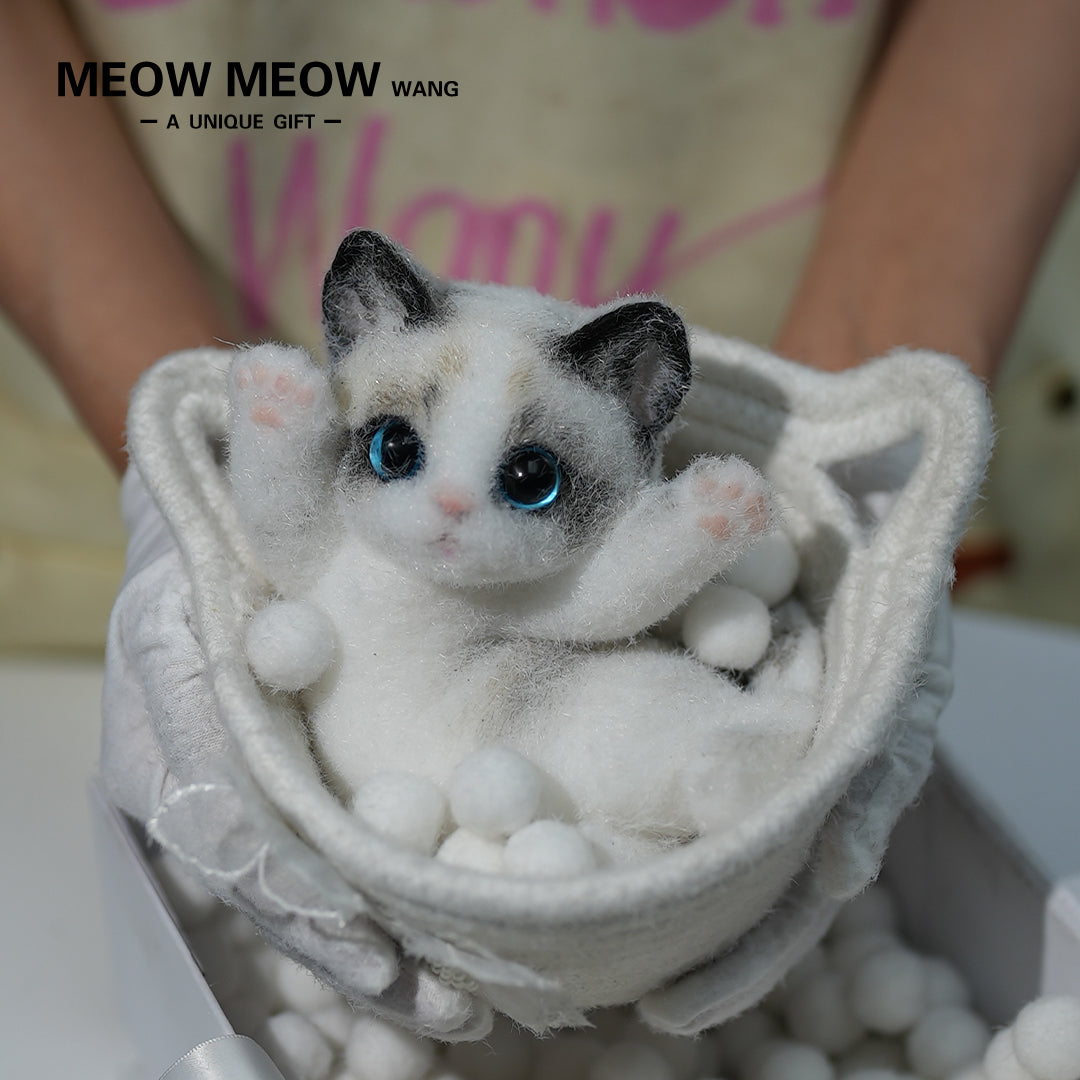 A06:Cute Ragdoll Squishy Cat