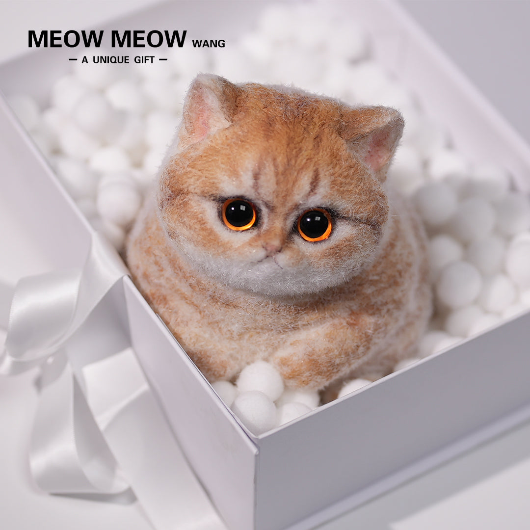 C13:Cute Angry Cat