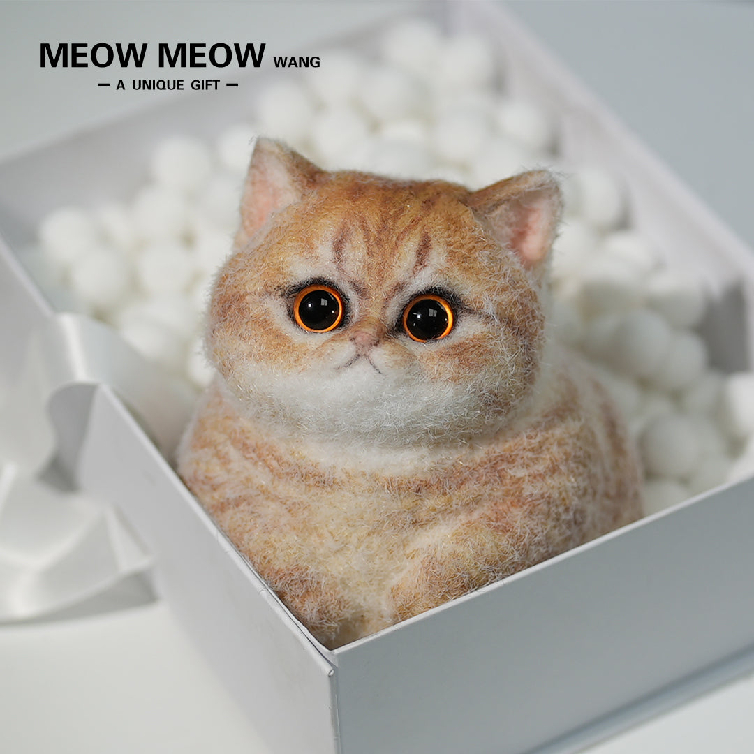 C13:Cute Angry Cat