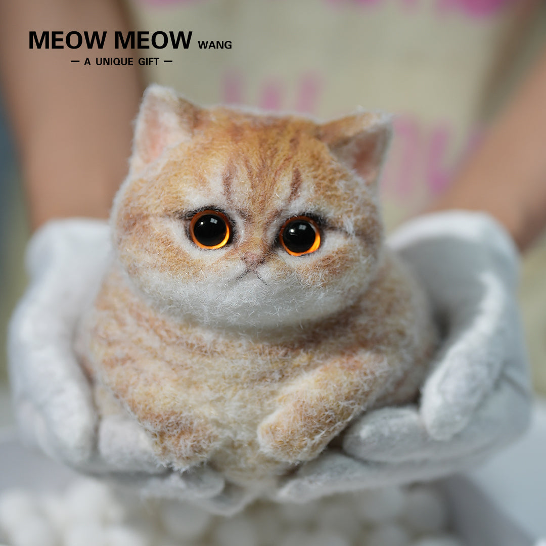 C13:Cute Angry Cat