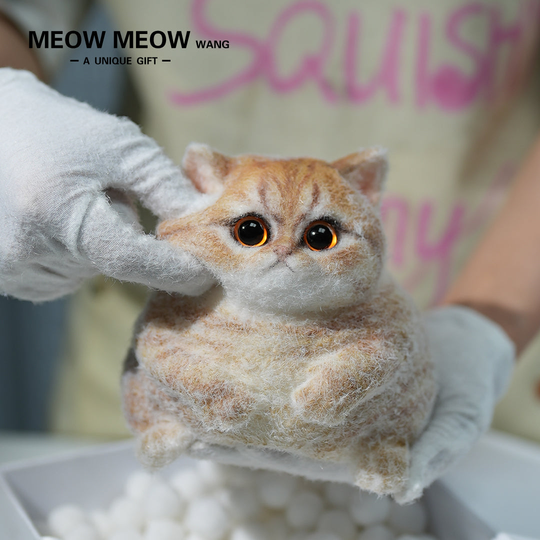 C13:Cute Angry Cat
