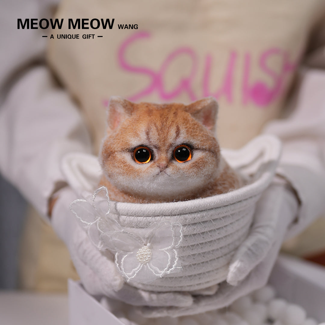 C13:Cute Angry Cat