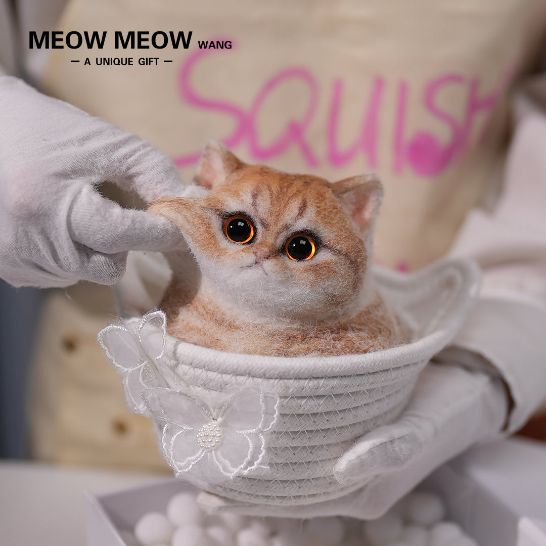 C13:Cute Angry Cat