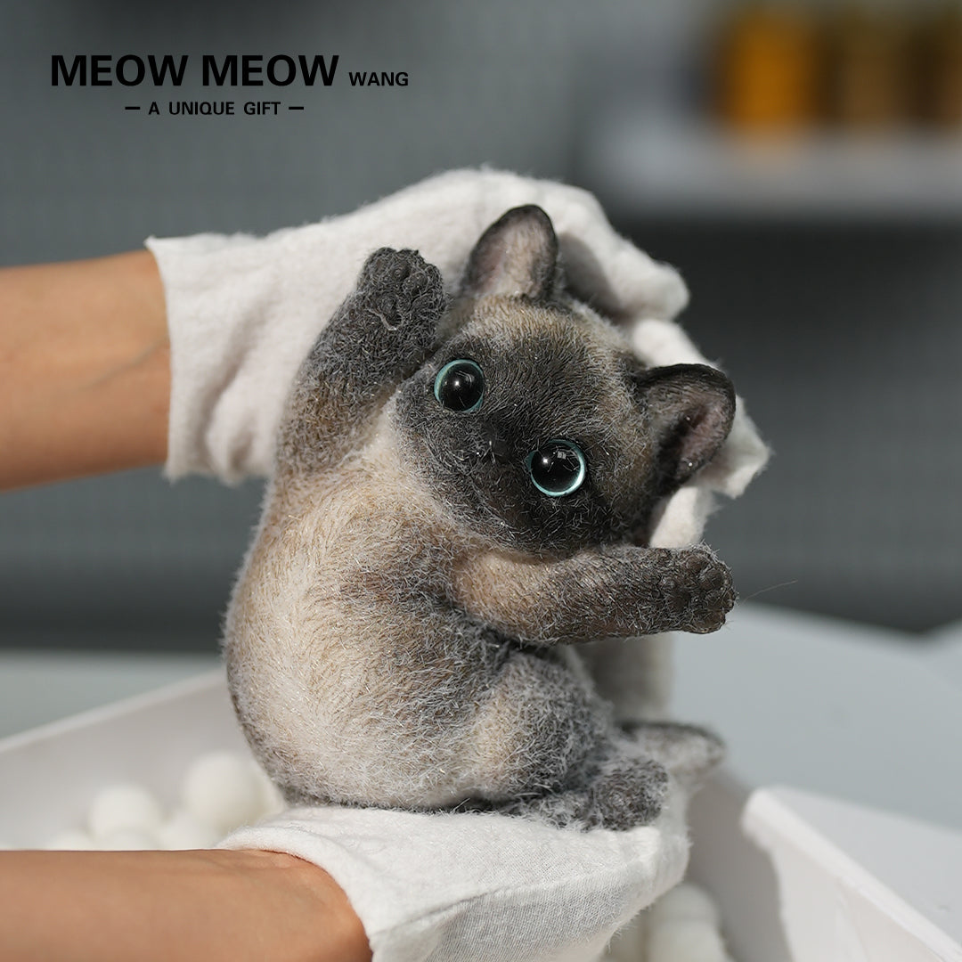 A10:Black Siamese Squishy Cat
