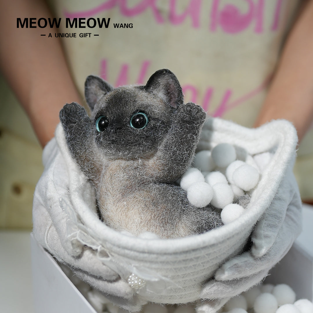 A10:Black Siamese Squishy Cat