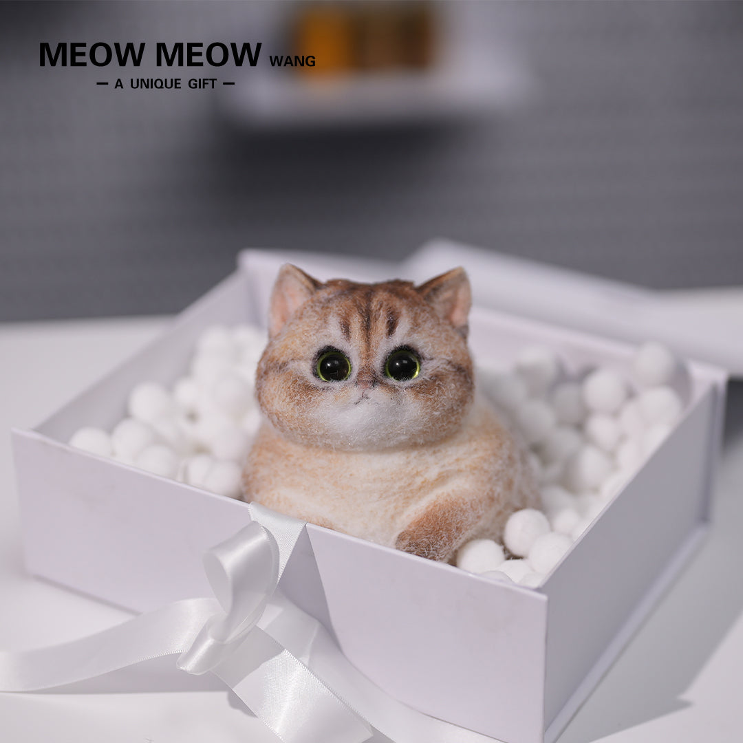 C05:Cute Cat With Green Eyes