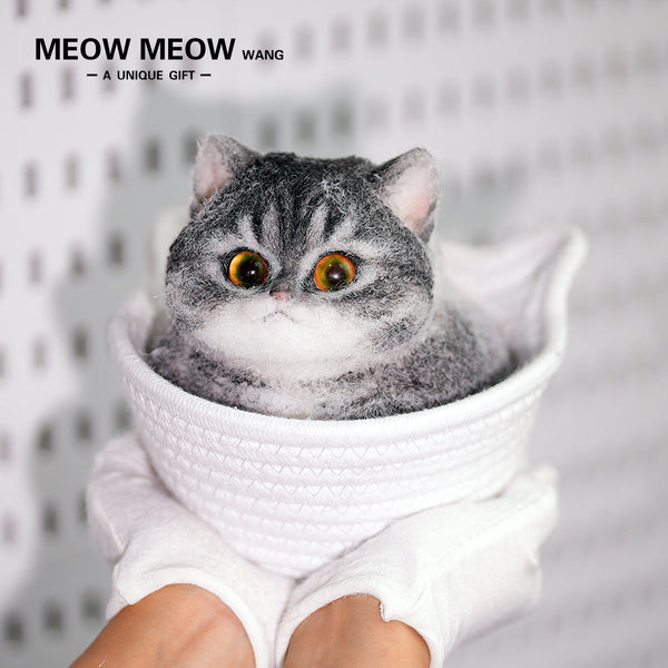 C23:Mysterious Yellow-Green Eyes Fat Cat
