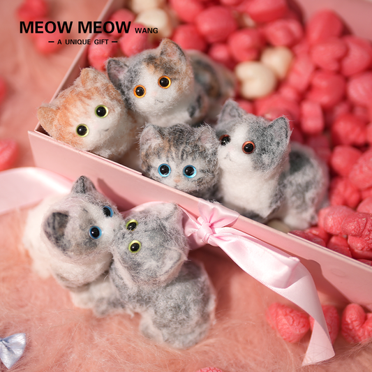 A17:6 Cute Kittens