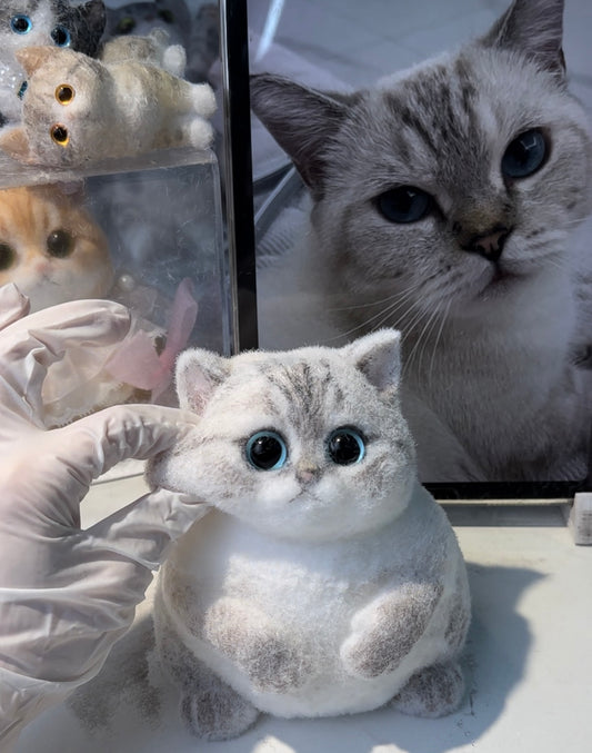 A03:Chubby Soft English Short Silver Gradient Squishy Cat
