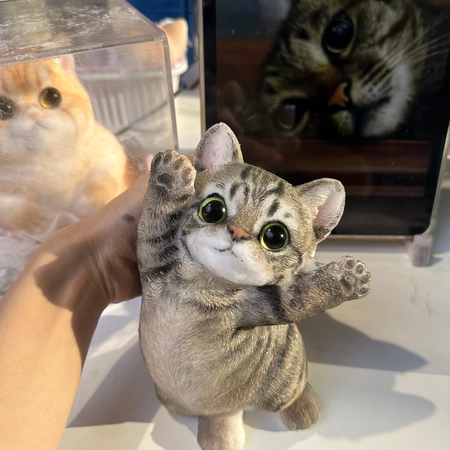 B02:A Squishy Cat With Green Eyes And Black Paws(Blackclaw)