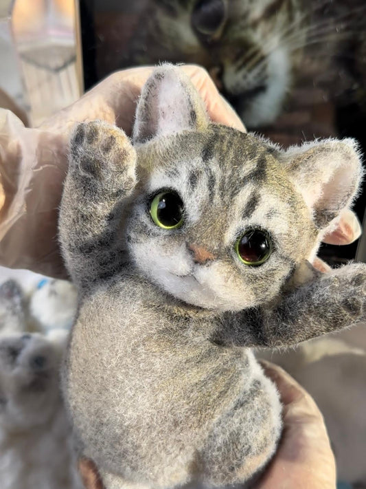 B02:A Squishy Cat With Green Eyes And Black Paws(Blackclaw)